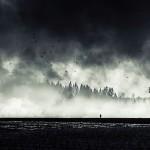 Les captures de l’instant de Mikko Lagerstedt