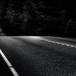 Les captures de l’instant de Mikko Lagerstedt