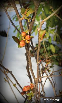 Les conditions climatiques se sont largement améliorées e...