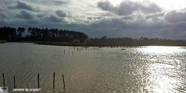 Parc-ornithologique-du-Teich