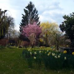 littérature; poésie; anthologie; livres