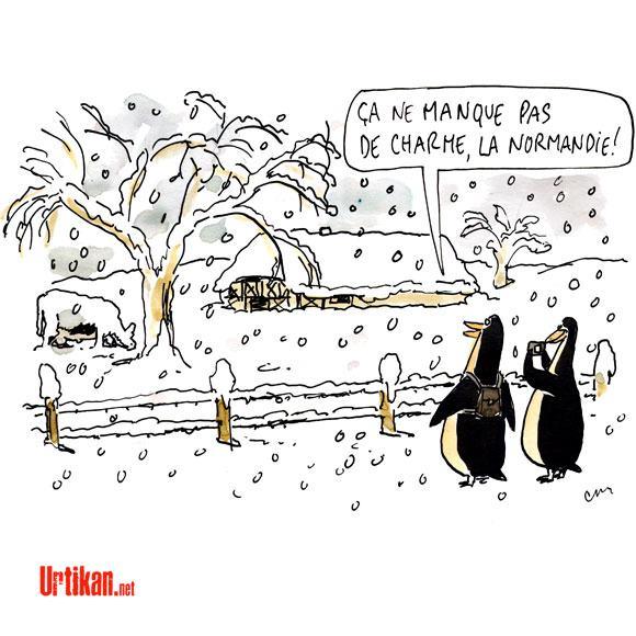 Actualité et humour