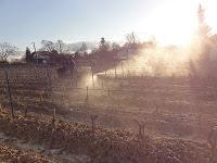 Jour fruit, jour de visite compliquée au Château Mirebeau