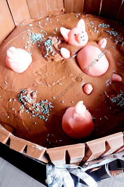 Mare aux cochons (Gâteau Pur Chocolat) / Pig Pond (Pure Chocolate Cake)