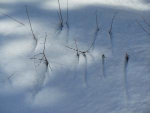 Billet de l’Anse-aux-Outardes, par Claude-Andrée L’Espérance…