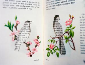 livres oiseaux