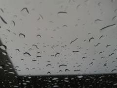 gamin,nostalgie,leshaker,enfant,femme,parcours,souvenir,