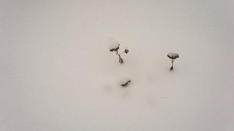 anteketborka.blogspot.com, mm_7_2