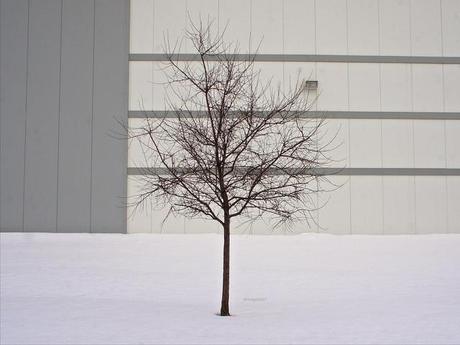 anteketborka.blogspot.com, mm_7_1