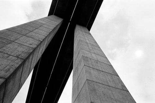 Intrinsic-Nature_The-Fall