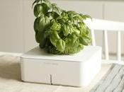 [Bon Plan JDG] Click Grow, intelligent électronique