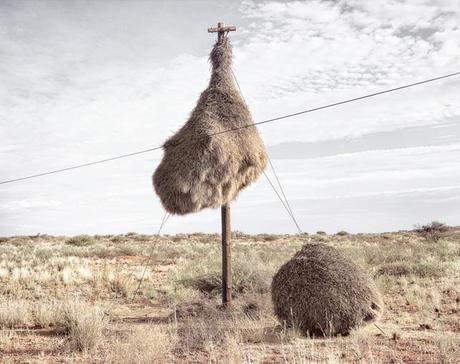 Dillon Marsh, Superstructures