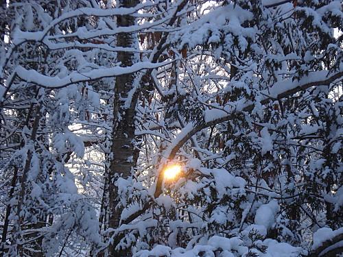 20111210 Stoneham 004