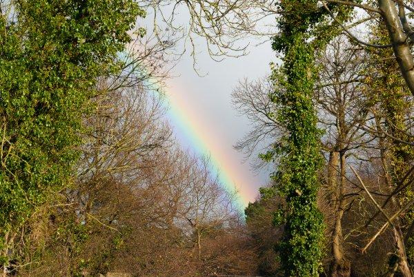 le calumet de la paix