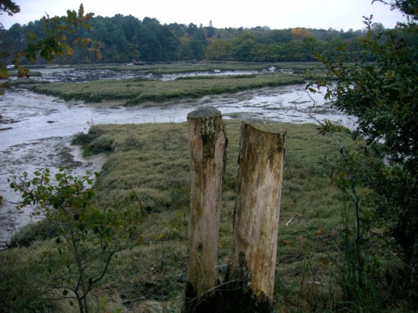 le calumet de la paix