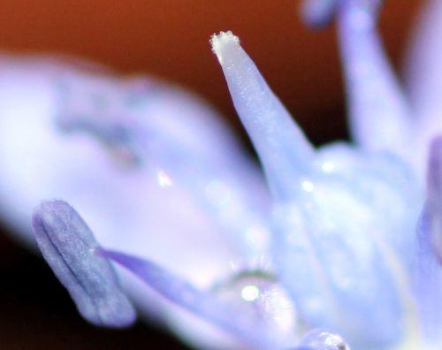 13 veneux 19 mars 2013 004.jpg