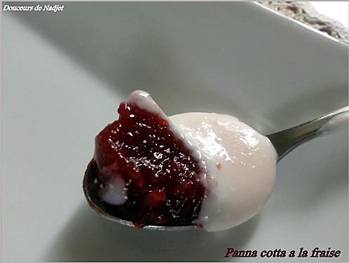 cuillère de panna cotta