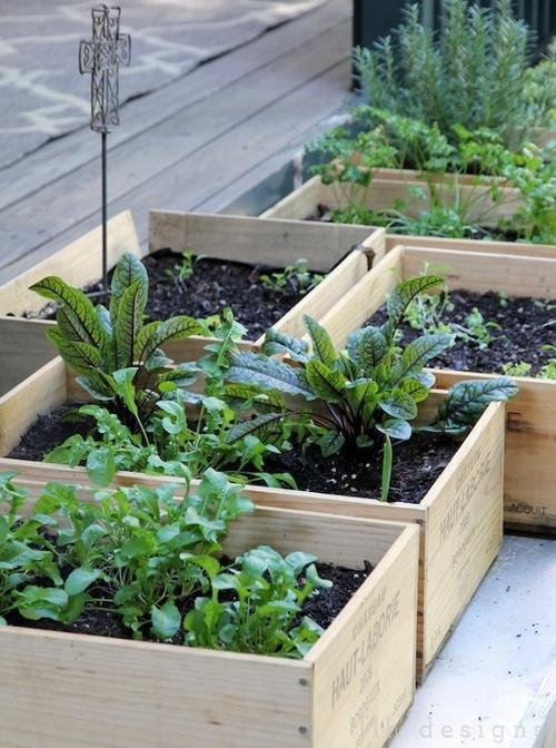 DIY - Un jardin en caisses!