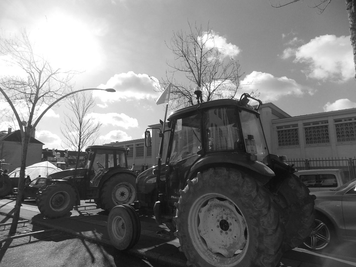 aux marches du palais