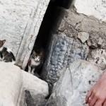 Voyage en Turquie: Ephèse ! ( VIDEO ) Part.4