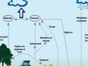 Dossier nano-emballages, risques environnementaux encore définis