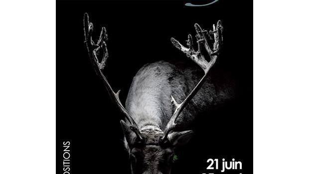 9e édition des Promenades Photographiques