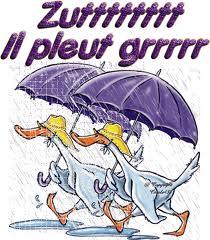 pluie-canards.jpg
