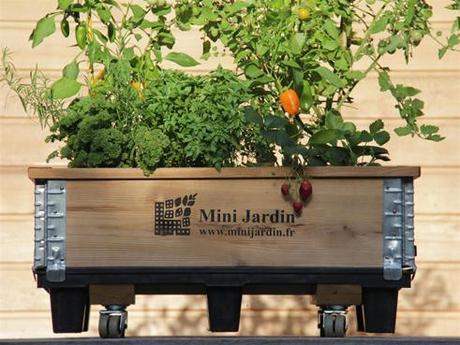 Vous pouvez jardiner sans jardin ! file_6