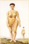 L’ORIGINE DU COMPLEXE DES GROSSES FESSES : LA VENUS NOIRE SAARTJIE (SARAH) BAARTMAN