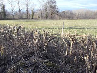 Destruction environnementale