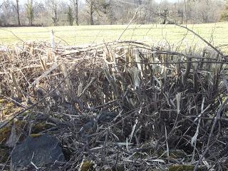 Destruction environnementale