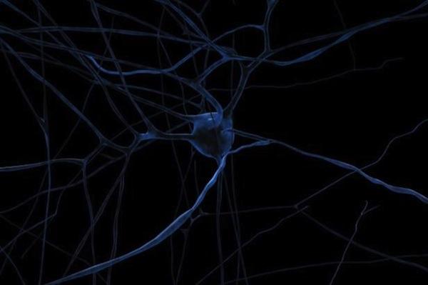 LA SEMAINE DU CERVEAU  ;)