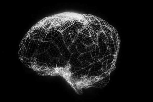 LA SEMAINE DU CERVEAU  ;)