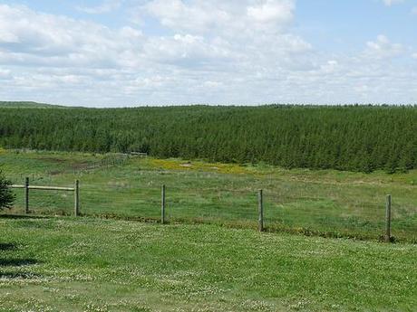 Le malaise du Québec envers les énergies fossiles (1/2) : les sables bitumineux et le gaz de schiste Le malaise du Québec envers les énergies fossiles (1/2) : les sables bitumineux et le gaz de schiste