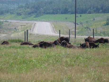 Le malaise du Québec envers les énergies fossiles (1/2) : les sables bitumineux et le gaz de schiste Le malaise du Québec envers les énergies fossiles (1/2) : les sables bitumineux et le gaz de schiste