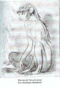 dessinanimauxdenatures