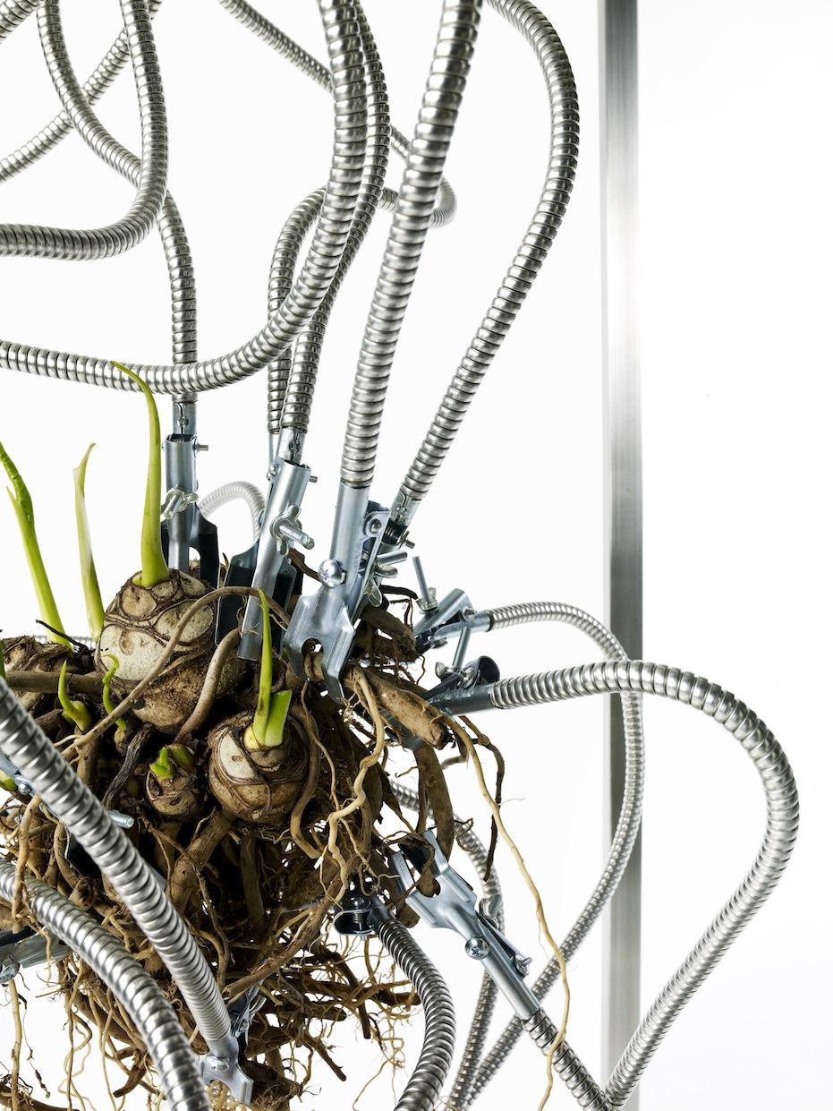 Botanical Sculpture #5 - Azuma Makoto - 4