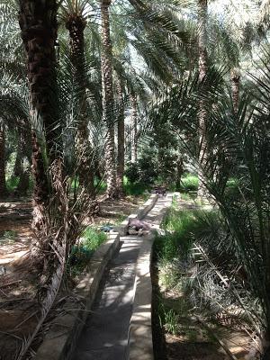 L'oasis d'Al Ain