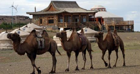 blog nuits insolites three camel lodge pic11 Yourtes de luxe en Mongolie