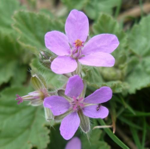 citations,société,écriture,livre,littérature.