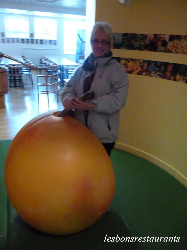 ROZELIEURES(57)-JEU DE L'ÉNIGME-RÉPONSE