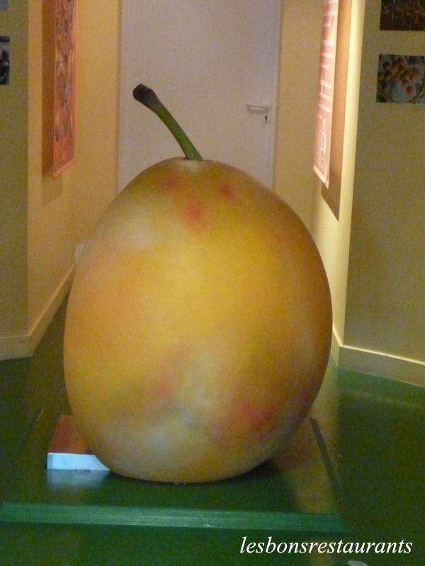 ROZELIEURES(57)-JEU DE L'ÉNIGME-RÉPONSE