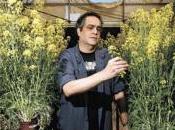 plantes disposent-elles d’une forme intelligence