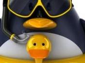 Google vous invite découvrir mise jour algorithme Pingouin