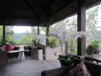 L’une des 10 plus belles piscines du monde au Ubud Hanging Gardens