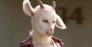 Orangina et le pigeon malade