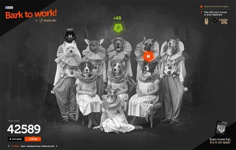 Dog Studio | Bark to Work