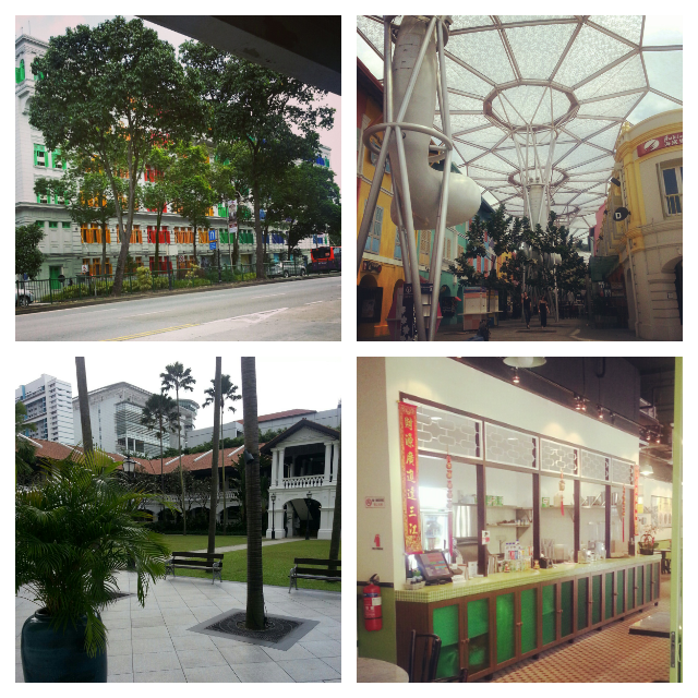 Ma Vie (pas si) Discrète à Singapour... (8)