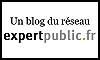expert public