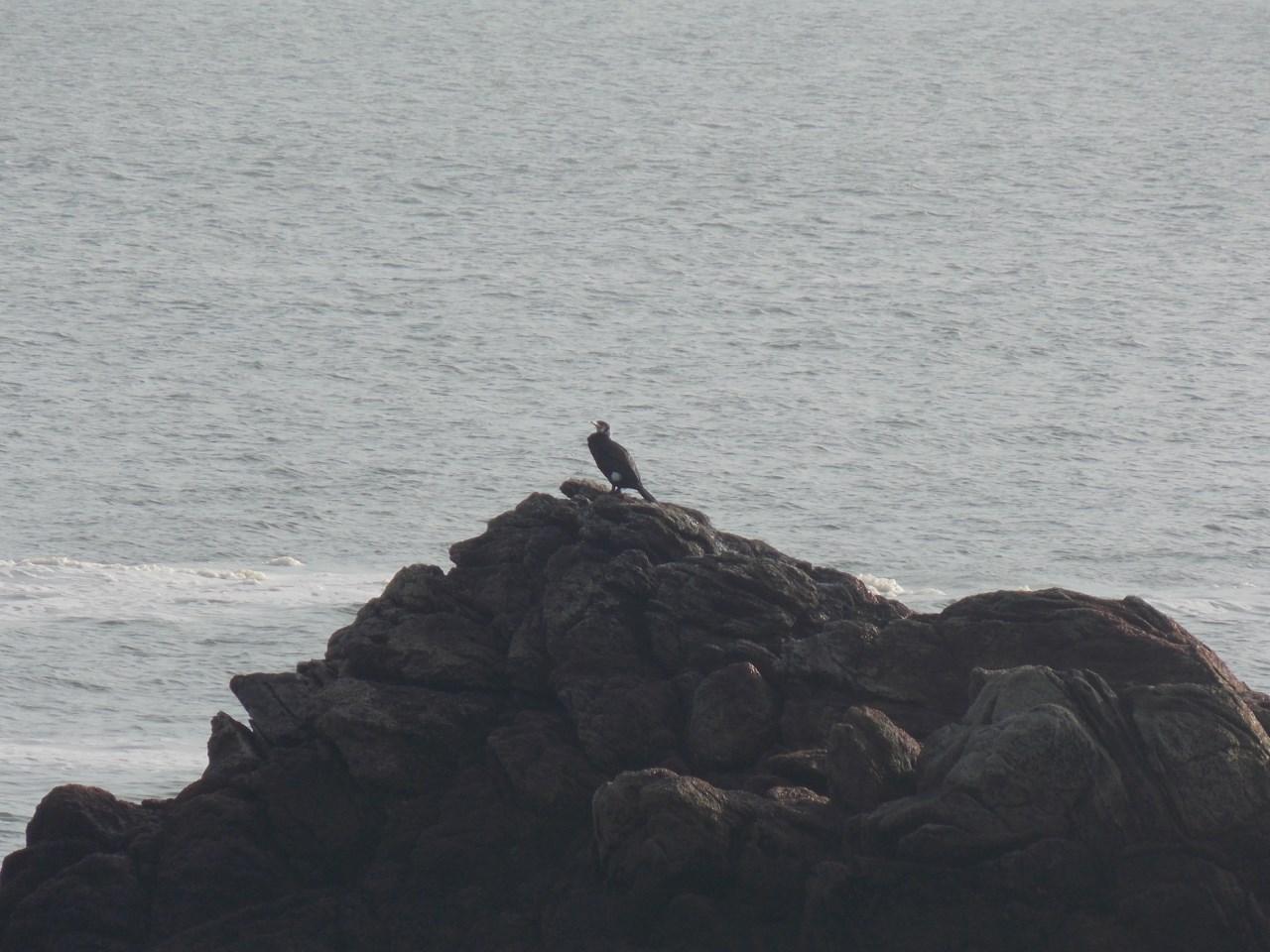 est-ainsi que les hommes vivent?